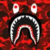 andrehunt18 - @andrehunt18 - TikTok