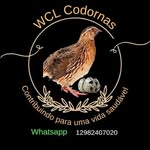 Andre Ignacio - @wclcodornas - Instagram