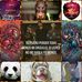 Paulo Andre Ignacio Romero Delfin - Facebook