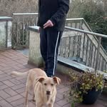 Andre Ingram - @andreingermany - Instagram