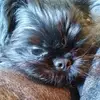 Andrew Inniss - @andrew.inniss8 - TikTok