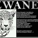 Andrew Ishmael Zwane - @andrewishmaelzwane - Instagram