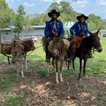 Andre Israel - @andre_israel - Instagram