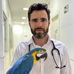 André Israel | Veterinário de Aves - @andreisraelleite - Instagram