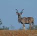 Andre Jacques Nel - Facebook