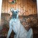 Andre Jacquet - Facebook