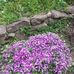 Andre Jacquet - Facebook