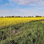 @andre_jaeger_ - Instagram