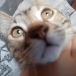 André Jaime - @andre_31010 - Instagram