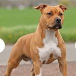 André Janssens - @andre.janssens.87 - Instagram