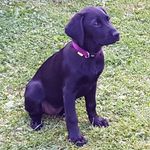 Andrew Jeffery - @andrew.jeffery.9843 - Instagram