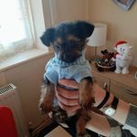 Andrew Jeffery - @andrew.jeffery.948 - Instagram