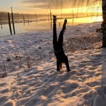 Andre Jensen - @andre_jensenaj123 - Instagram