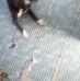 Andre Jermaine Nash lawn care Llc - Facebook