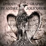 📱💥🇨🇦IPHOTOGRAPHY🤳📸❌ - @andrejolicoeur2020 - Instagram