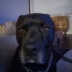 Andre Jones - Facebook
