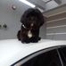 Andre Kunz - Facebook
