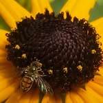 André Lacombe - @andre.lacombe.2012 - Instagram