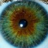 andrea.laflamme - @andrea.laflamme - TikTok