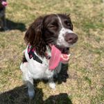 Laflamme - @andrew_laflamme - Instagram