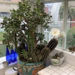 Andre Lamontagne - @b.ois2001 - Instagram