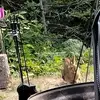Andre Lauzon - @andre.lauzon5 - TikTok