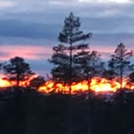 Charles André Lindberg - @charlesandrelindberg - Instagram