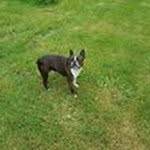 Andrew Lovell - @lovell.andrew - Instagram