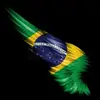 Top música 🇧🇷 - @andreluisdasilva08 - TikTok