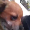 andremarti841 - @andremarti841 - TikTok