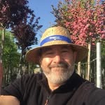 Andre maxwell - @andremaxwell2373 - Instagram