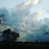 andrew_mcdonald26 - @andrew_mcdonald26 - TikTok