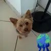 andreemerle - @andreemerle - TikTok