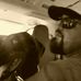 Andre Montero - Facebook