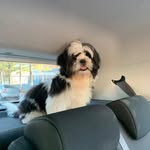 Andre Nagel - @guingonagel - Instagram