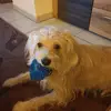 Andre Nagel - @andre.nagel4 - TikTok