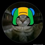 Andre Rodrigo Silva Elaes - @andre_nashe735 - Instagram