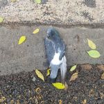 Andre Neto - @andre.neto.180 - Instagram