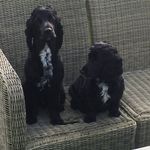 Andy N - @andrew.nixon.90 - Instagram