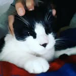 Andre Popa - @theacp123 - Instagram