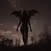 Andree popa - @andree.popa - TikTok