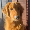 AndrésP30 - @andres_porchelo_30 - TikTok
