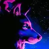 Andre Portal - @andre.portal8 - TikTok