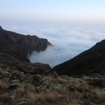 Andre Priest - @apriest66 - Instagram