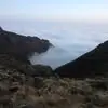 andrepriest96 - @andrepriest96 - TikTok