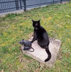 Andre Prieur - Facebook