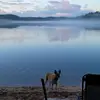 andreprimeau6352 - @andreprimeau6352 - TikTok