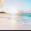 AndreThePrince - @andretheprince - TikTok