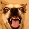 Andre Pulido - @andrepulido07 - TikTok