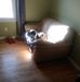 Andre Quenneville - Facebook